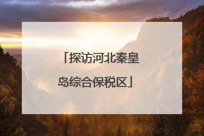 探访河北秦皇岛综合保税区